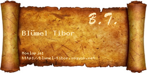 Blümel Tibor névjegykártya